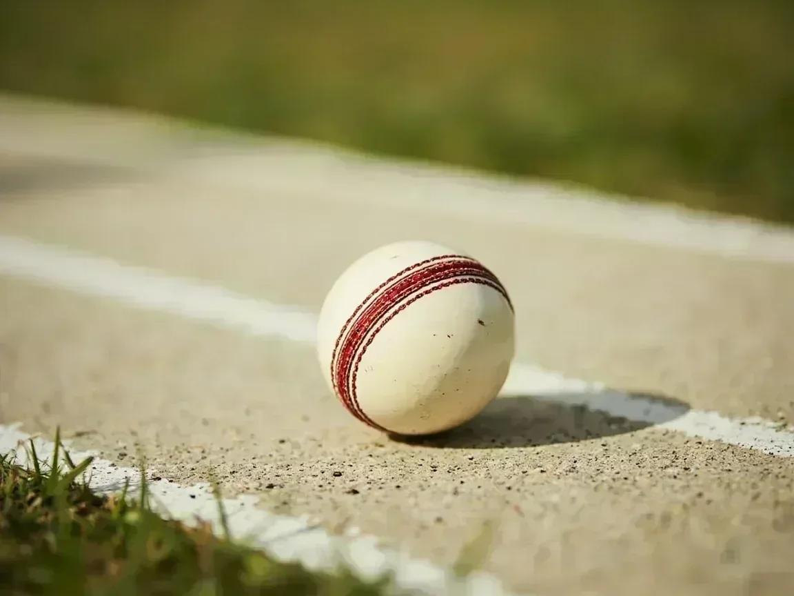 White cricket ball at rest on green pitch with white crease lines